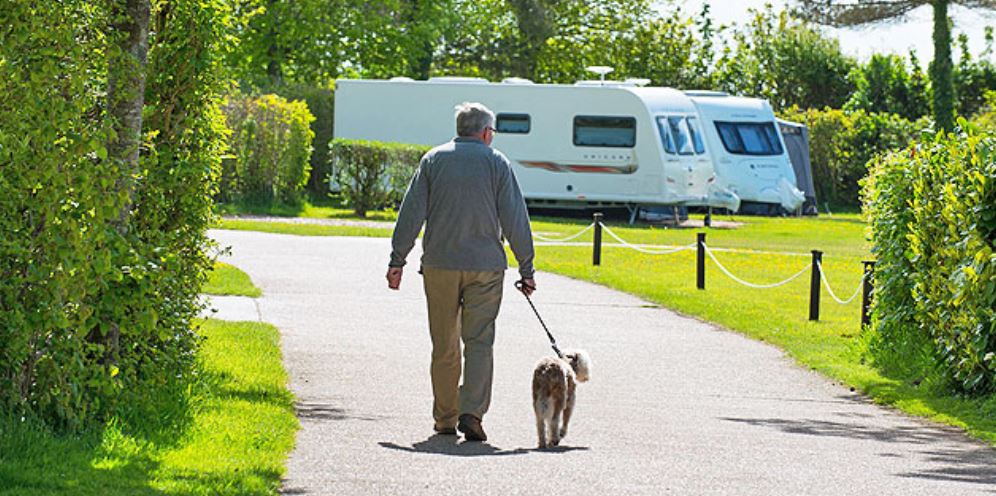 oakdown dog friendly Devon holiday park
