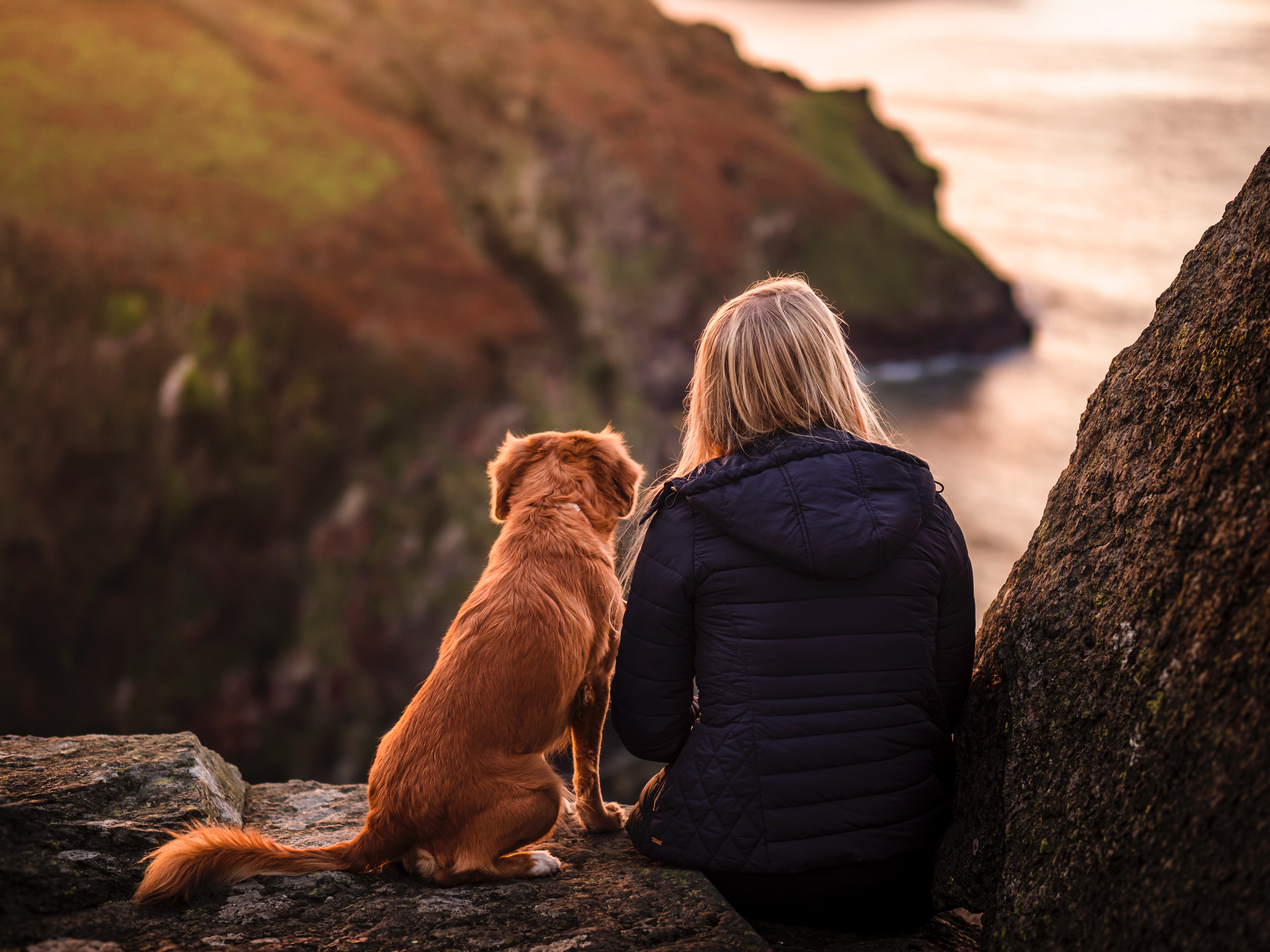 Combe Martin Beach in the best dog friendly holiday parks in devon