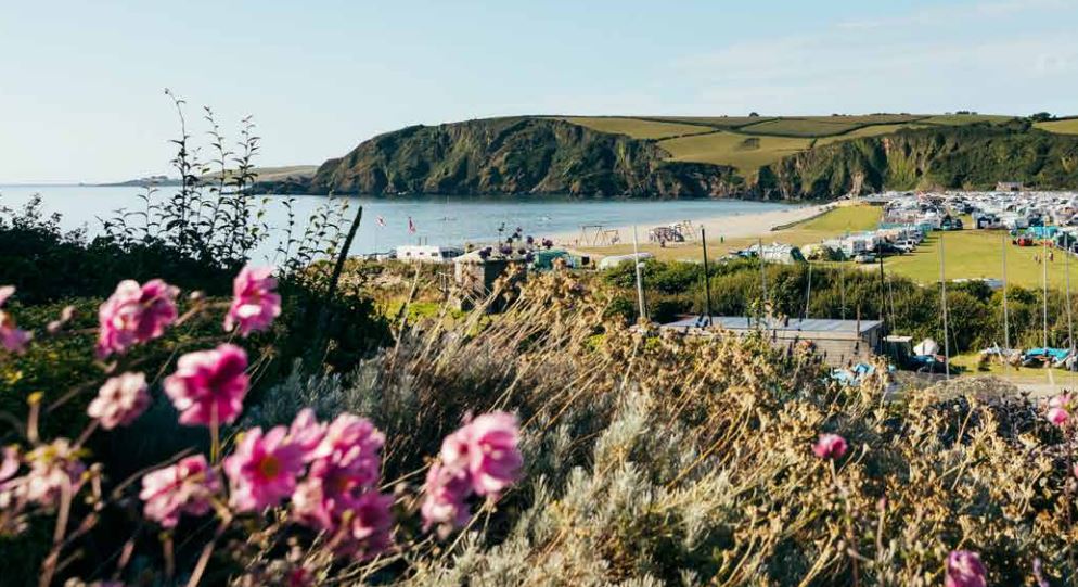 A view of the holiday park next to the sea with cliffs in the background and flowers in the foreground