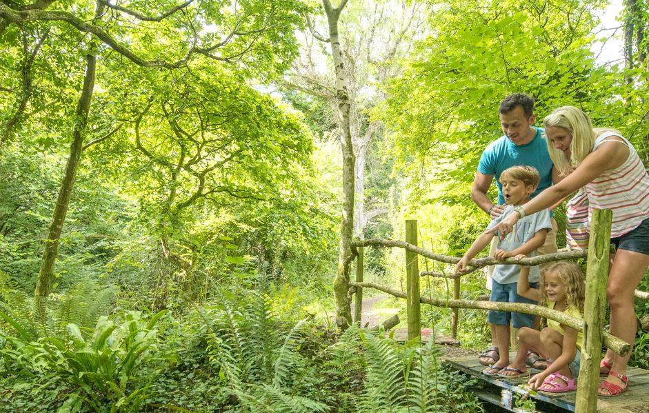 Family spotting wildlife stood on bridge in the woods