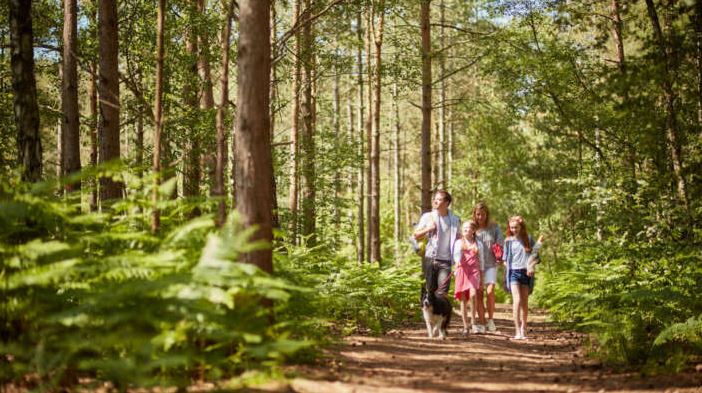 A family going for dog walk at a dog friendly holiday in Dorset