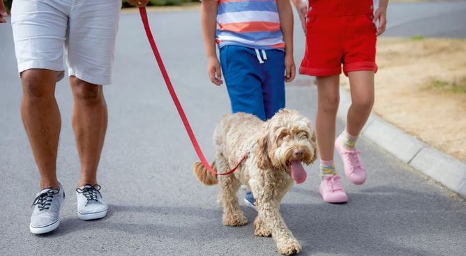 Family walking their dog at Doniford Bay Holiday Park