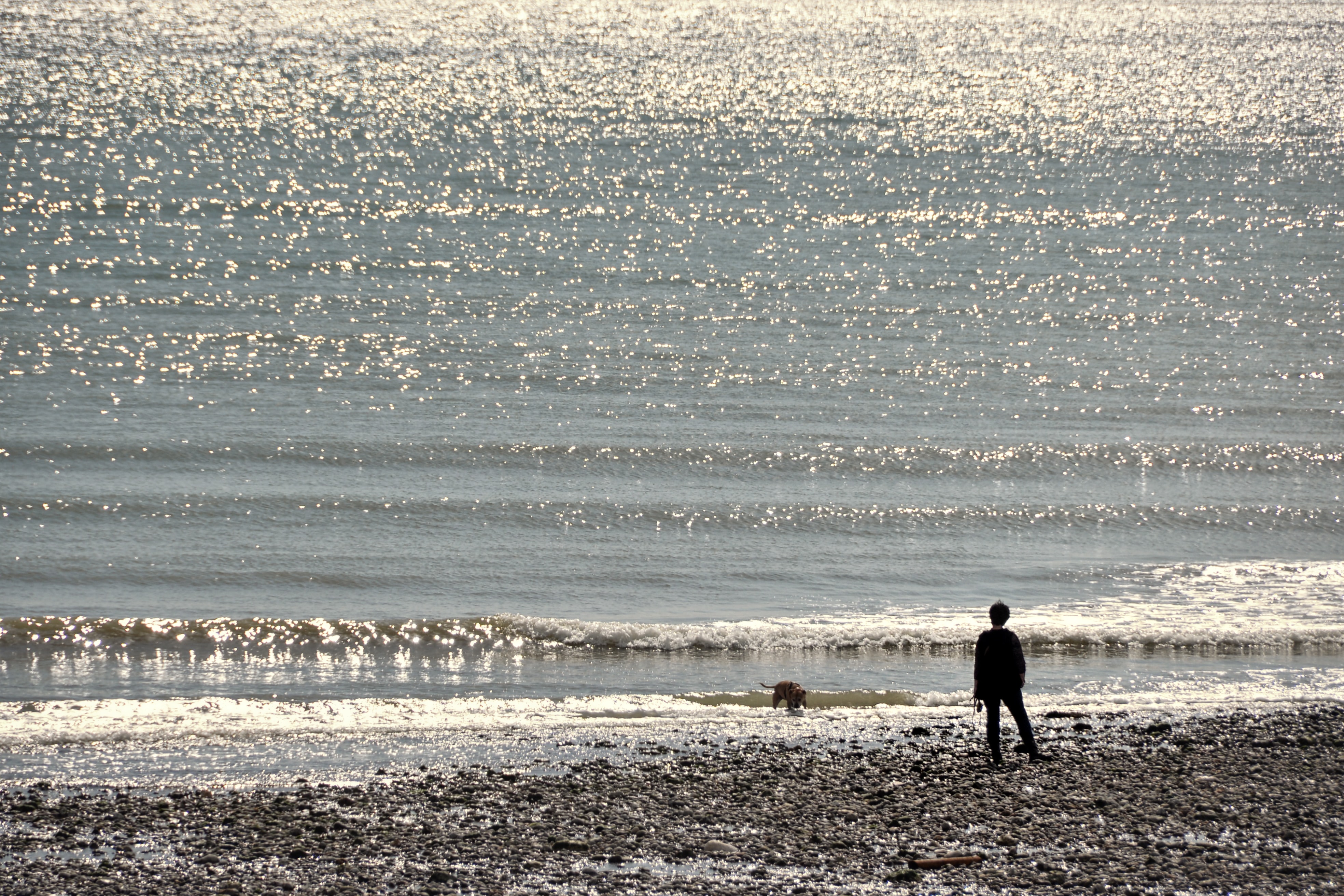 A person walking their dog on a shingle beach