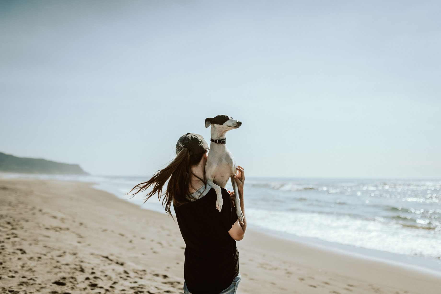 Dog friendly holiday parks in Sussex