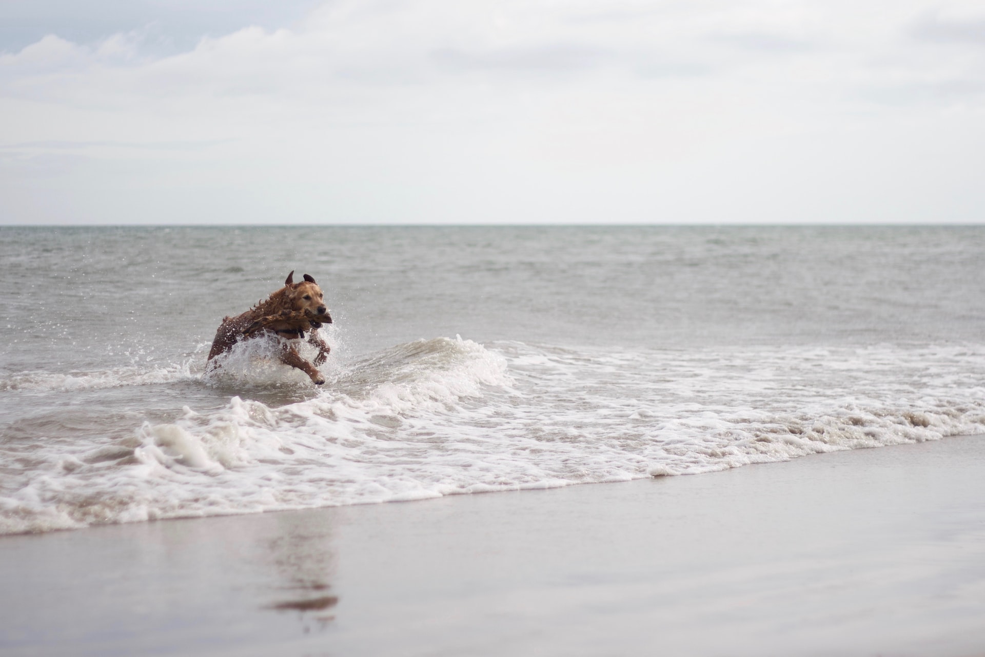 Caister on sea holidays
