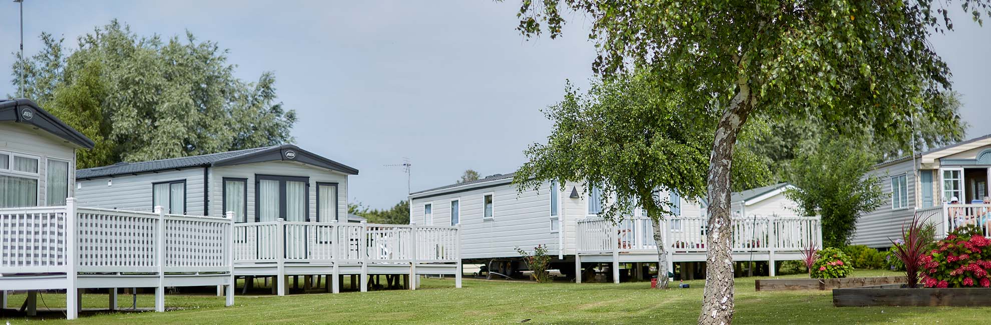 Manor Park holiday homes and surrounding flora