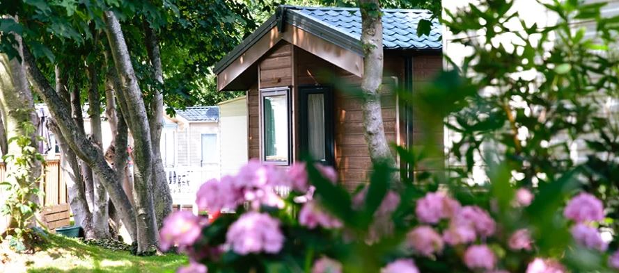 An image of holiday homes through trees and flowers in the foreground