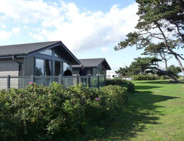 Holiday homes with trees and grassed area on a sunny day
