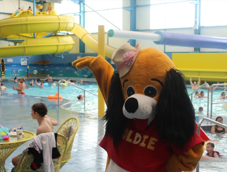 A mascot dog dancing in the swimming pool at one of the best holiday parks in lincolnshire