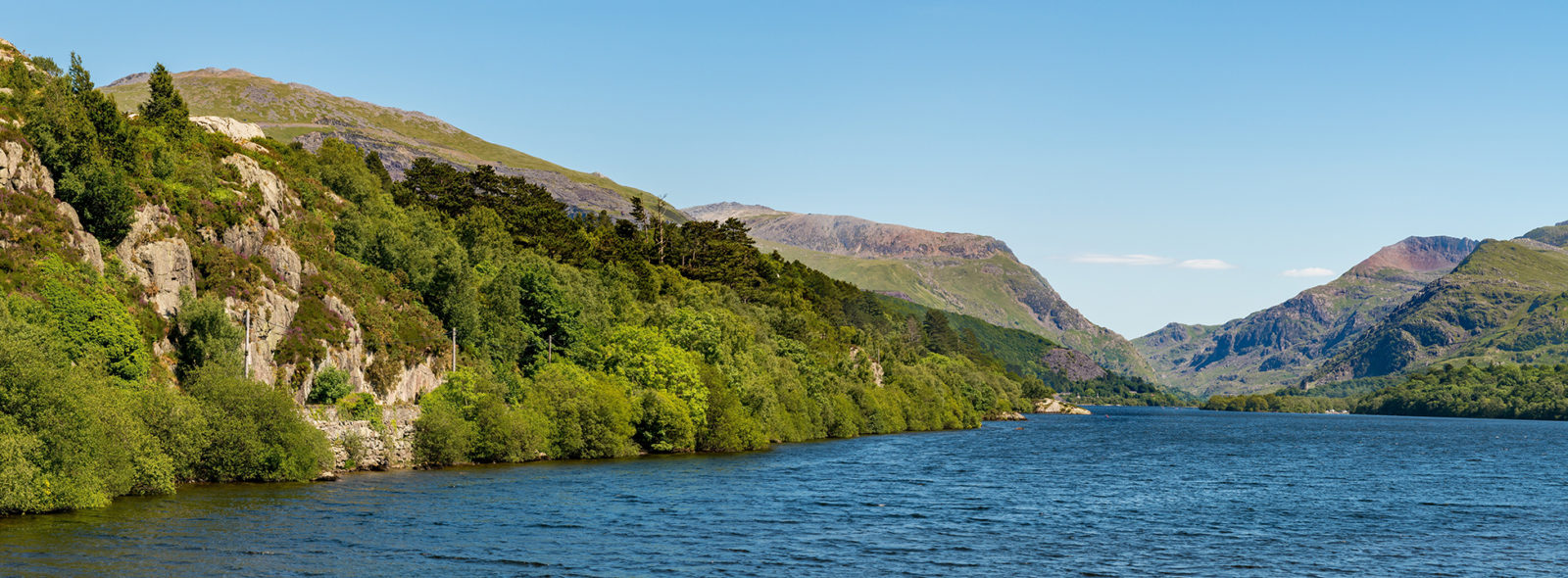 Dog friendly lodge holidays in Wales at Brynteg