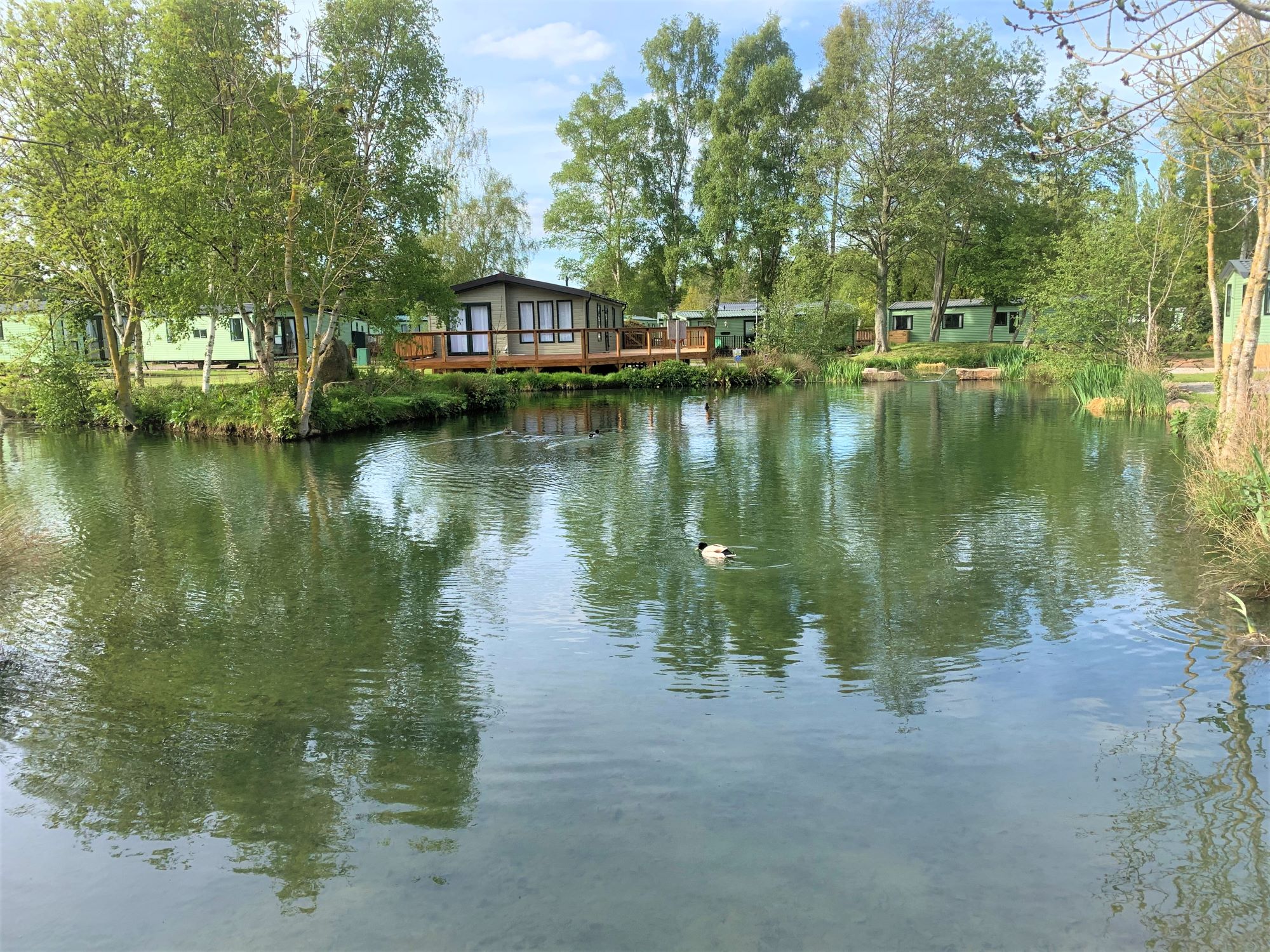 An image of a lake with holiday homes surrounded by trees in the background