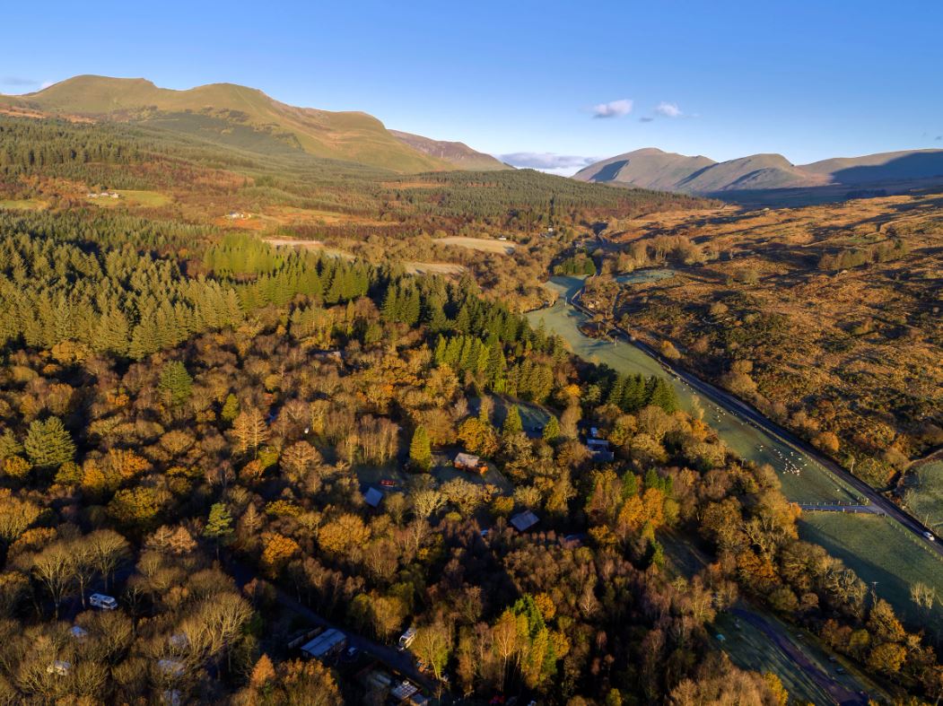 A pet friendly holiday park nestled within a forest in Wales 