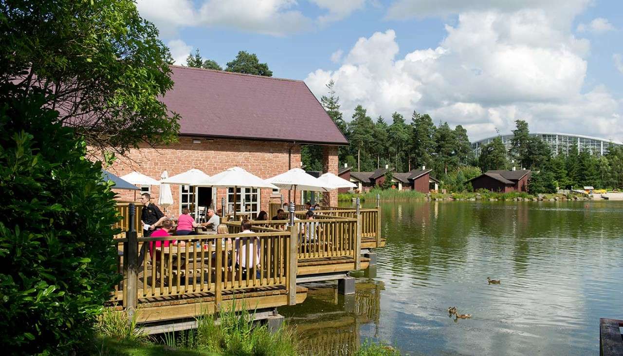 A restaurant at the side of the lake surrounded by forest