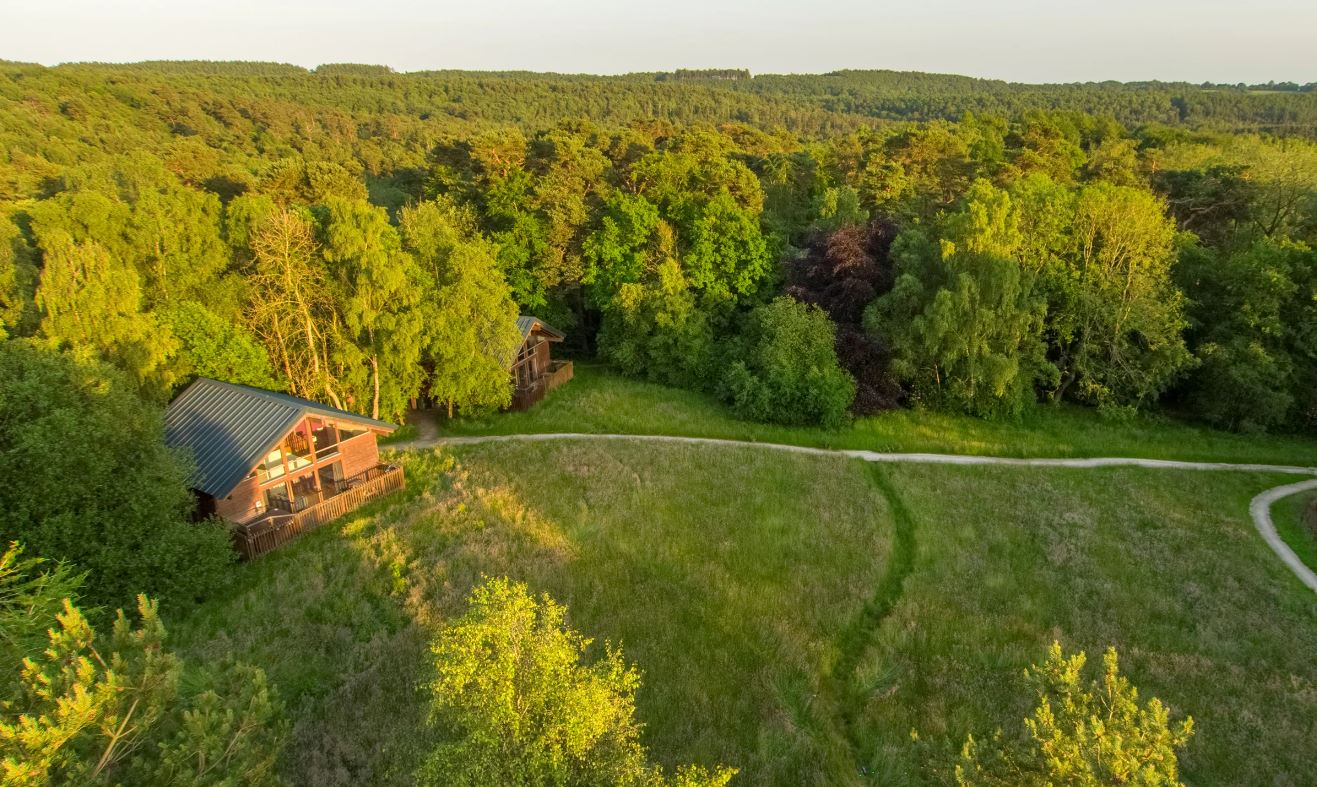 Log cabins hidden within the forest and an open pasture