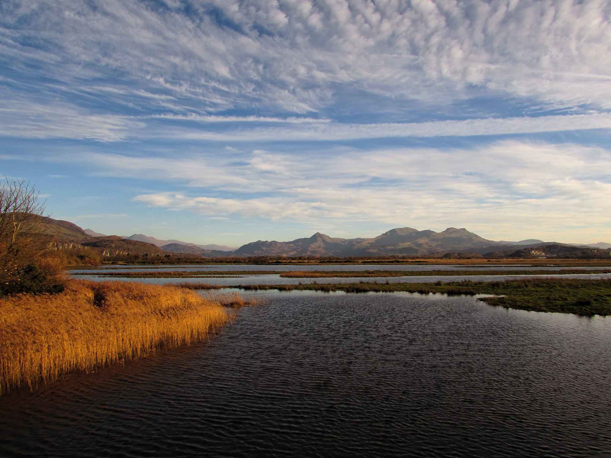 Marsh and estuary with mountain ranges in the far distance
