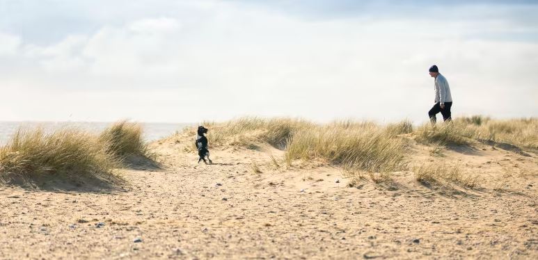 A Man Walking with his Dog Through the Sand Dunes