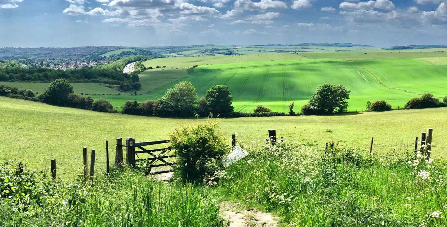 A Walk Through Countryside near Brighton for Walking Holidays in Sussex