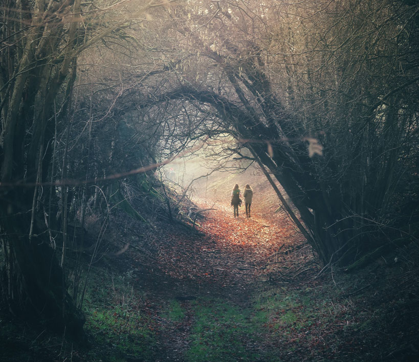 A Tunnel of Trees with People Walking through for Walking Holidays in