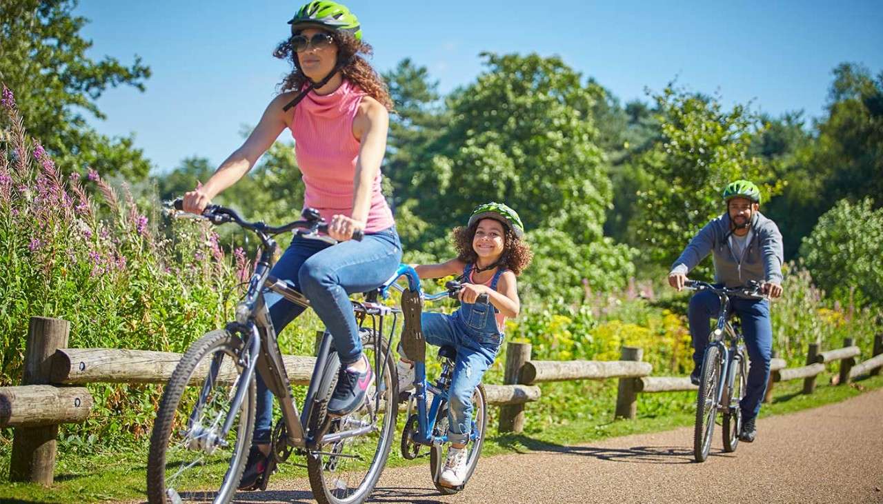 Three People Riding Bikes along a Cyclepath near to Woods