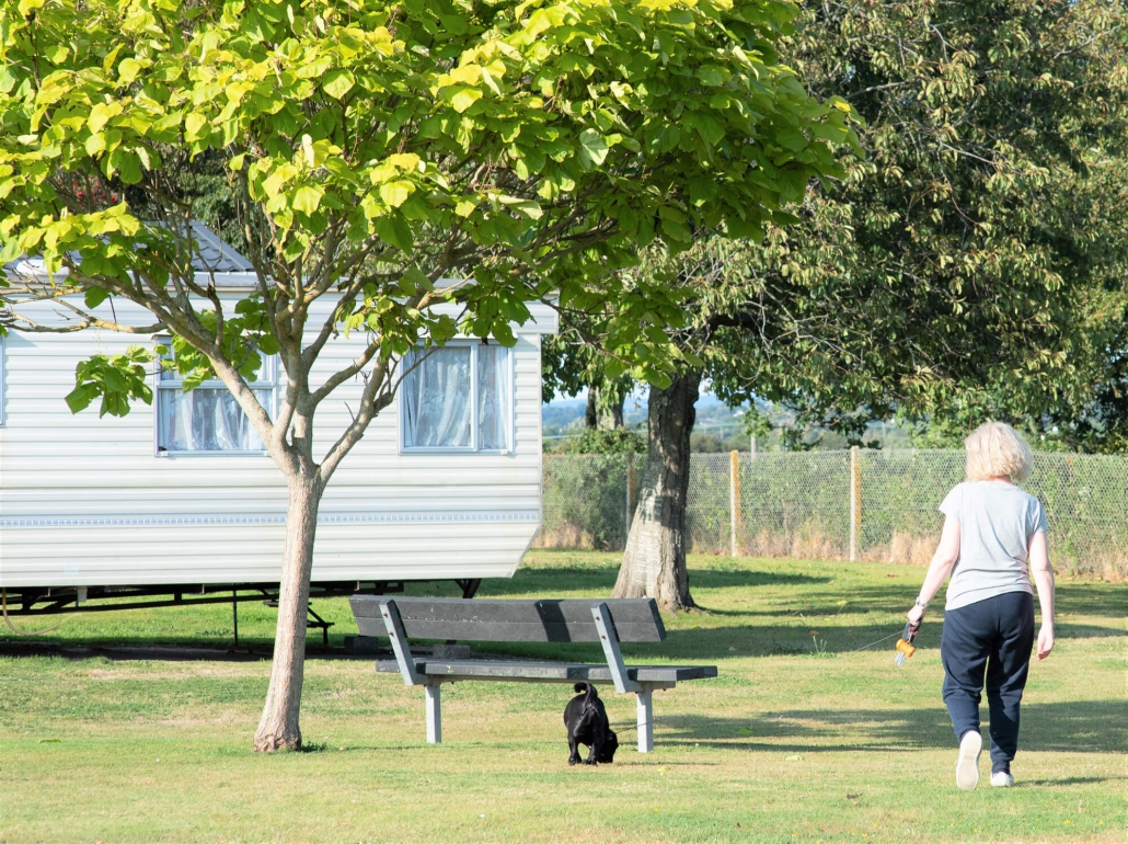 Dog friendly Axe Vale caravan park in Devon