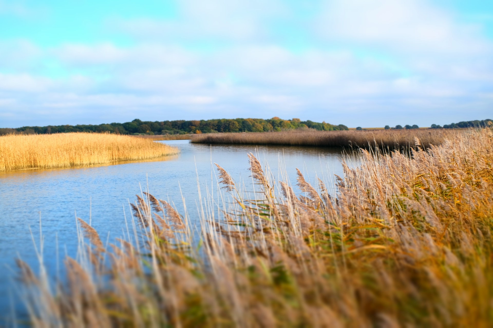 tips for finding cheap holidays in Essexi and Suffolk in caravans