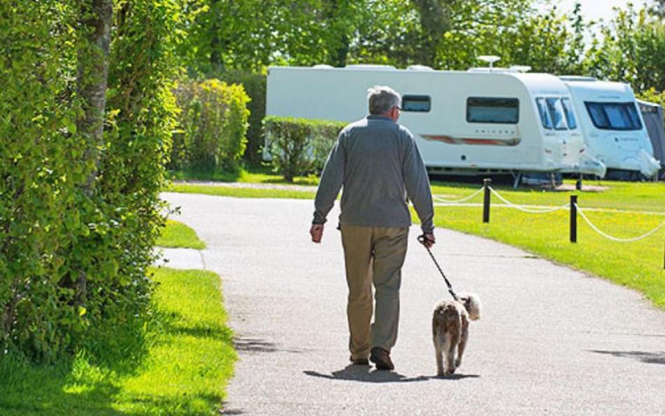 oakdown dog friendly Devon holiday park