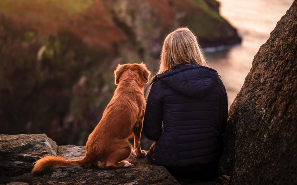 Combe Martin Beach in the best dog friendly holiday parks in devon