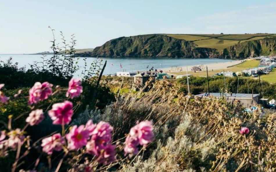 A view of the holiday park next to the sea with cliffs in the background and flowers in the foreground