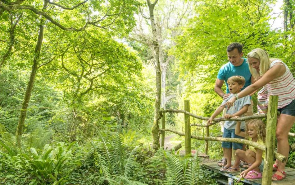 Family spotting wildlife stood on bridge in the woods