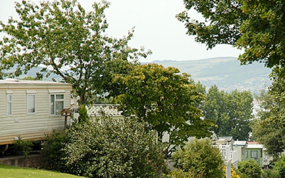 A view of a holiday home with woodland behind