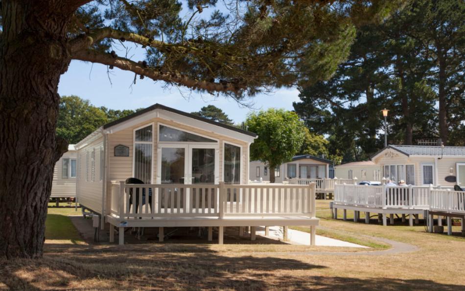 Holiday homes surrounded by trees on a sunny day