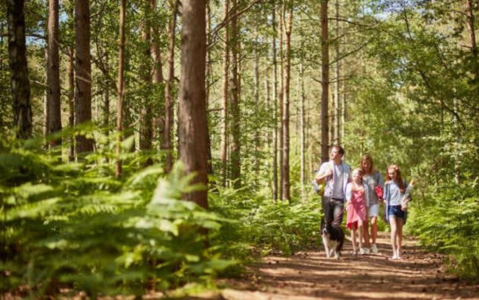 A family going for dog walk at a dog friendly holiday in Dorset