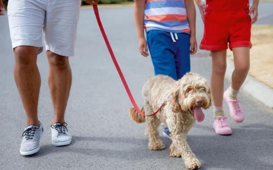 Family walking their dog at Doniford Bay Holiday Park