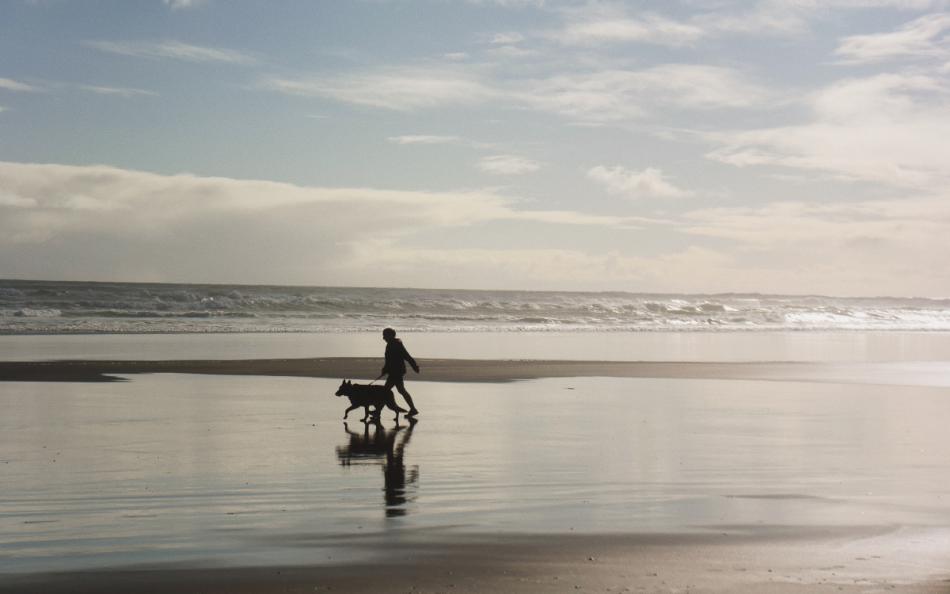 A person walking their dog across a windy beach with sea mist