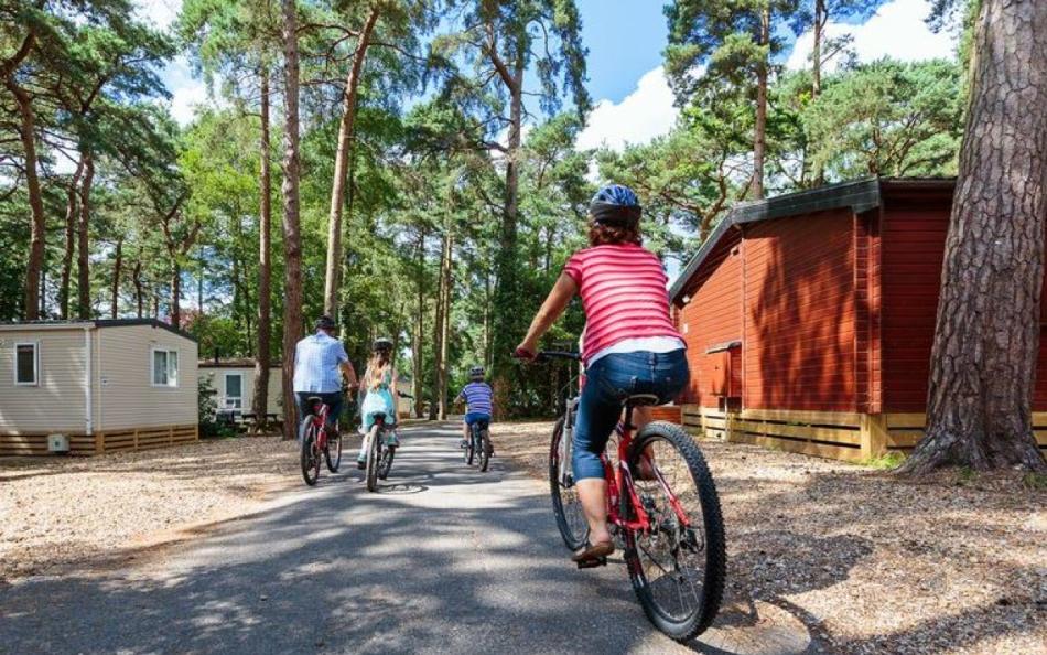 A family riding bikes between lodges, caravans and the forest