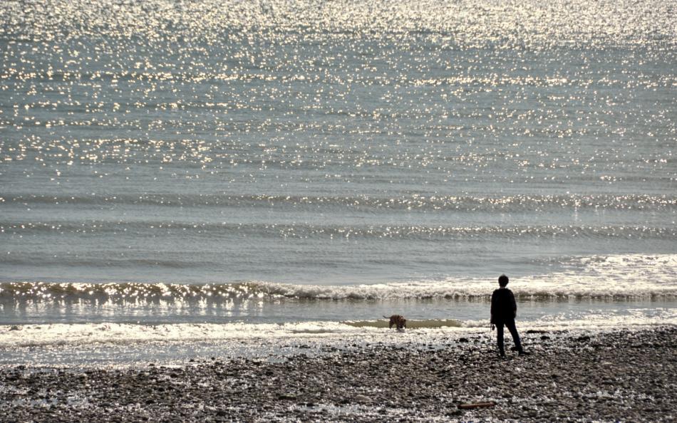 A person walking their dog on a shingle beach