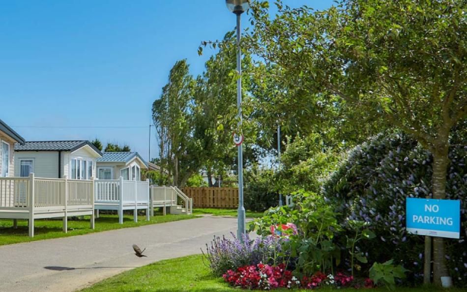 Holiday homes on the California Holiday Park on a bright sunny day with blue skys