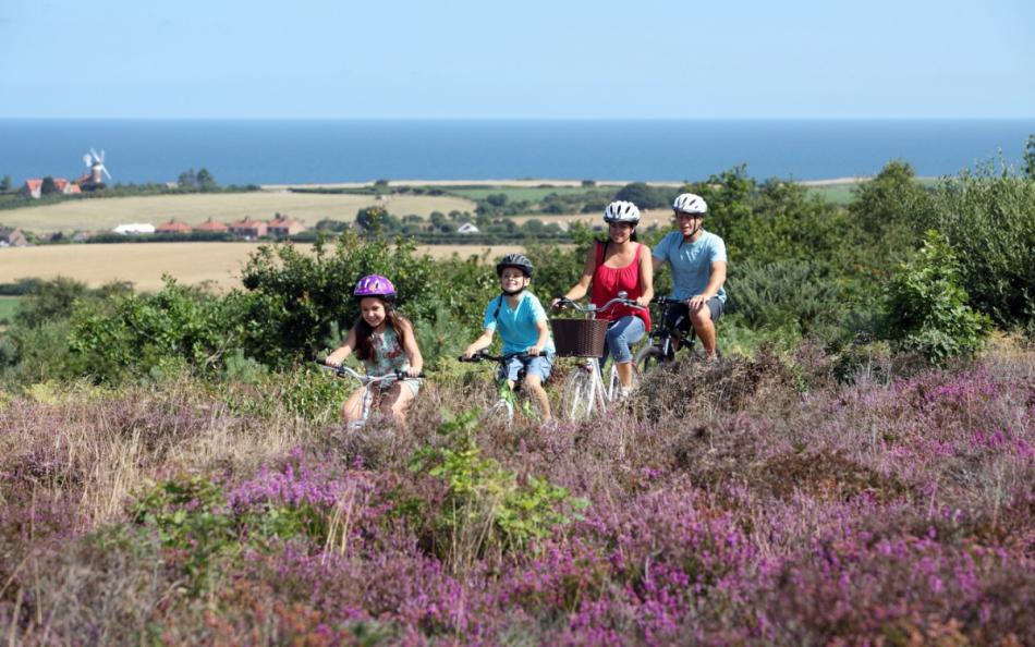 A family riding bikes along through heath at Kelling Heath Holiday Park Norfolk