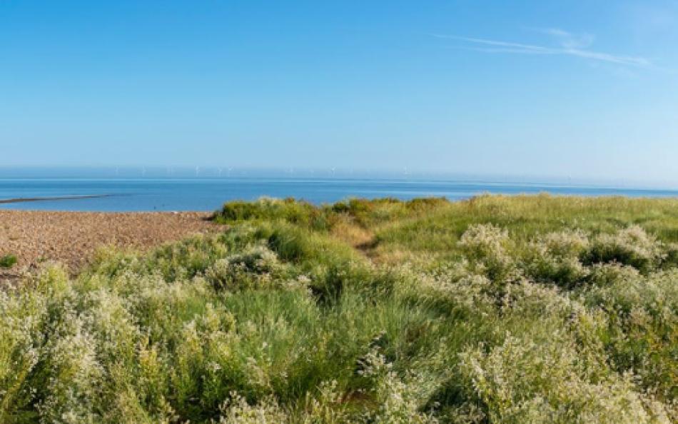 A view of the beach and river on a bright sunny day