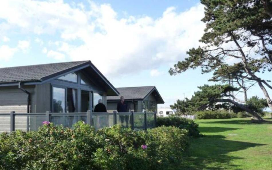 Holiday homes with trees and grassed area on a sunny day