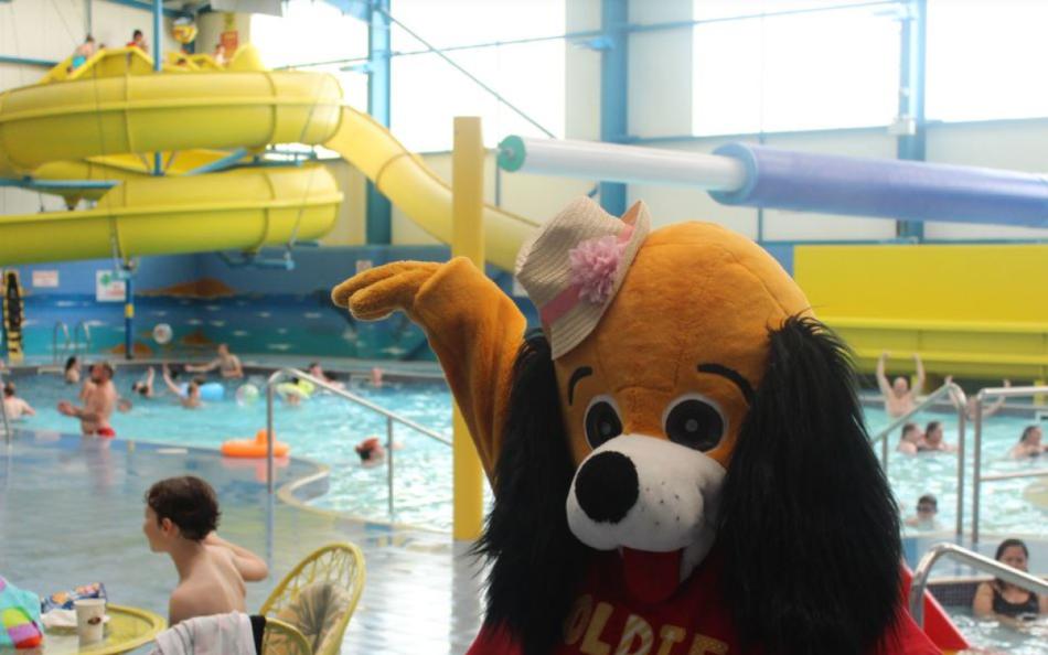 A mascot dog dancing in the swimming pool at one of the best holiday parks in lincolnshire