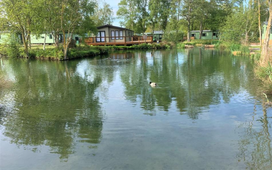 An image of a lake with holiday homes surrounded by trees in the background