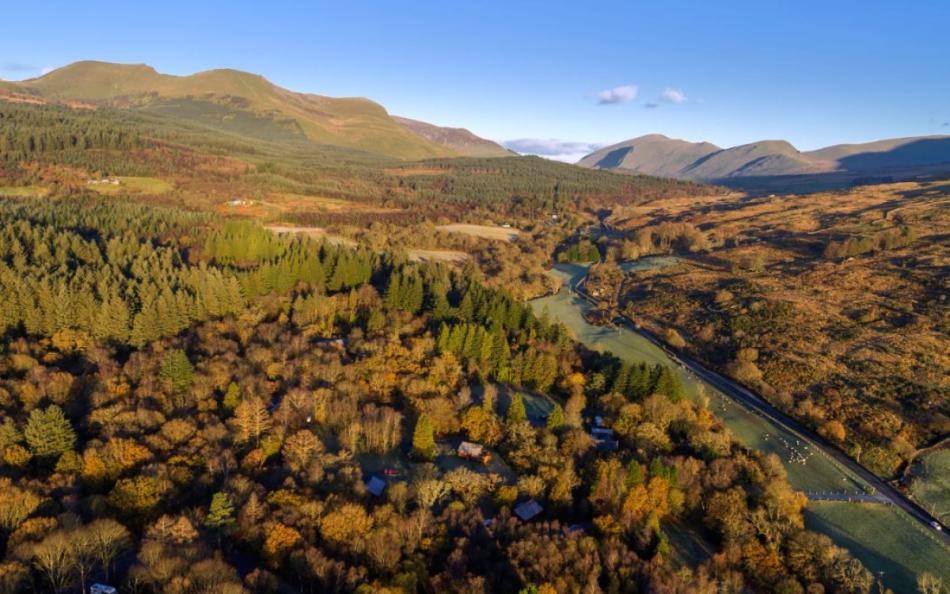 A pet friendly holiday park nestled within a forest in Wales 