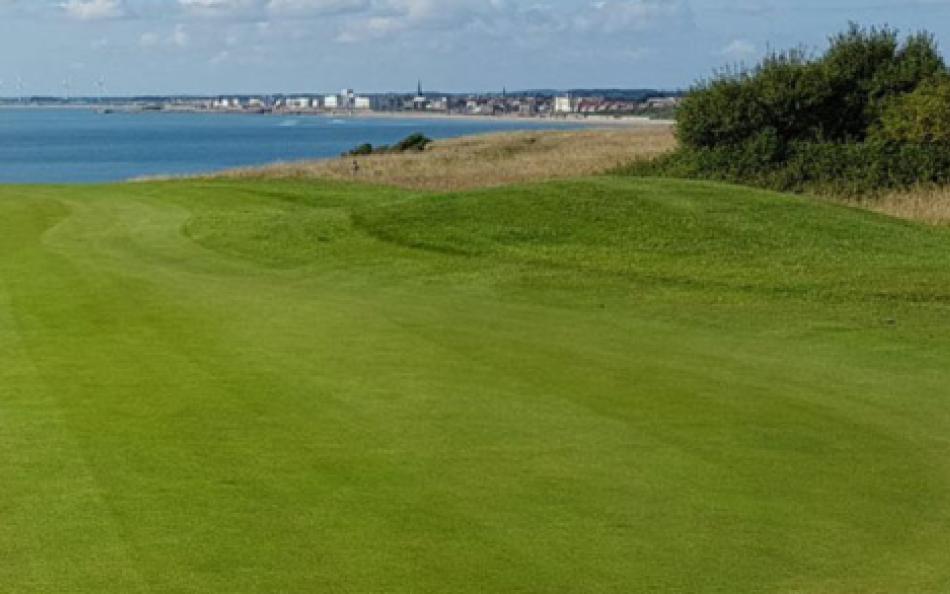 An image of a golf putting green and flag with a beach in the background