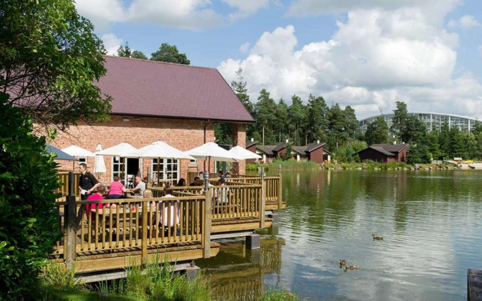 A restaurant at the side of the lake surrounded by forest