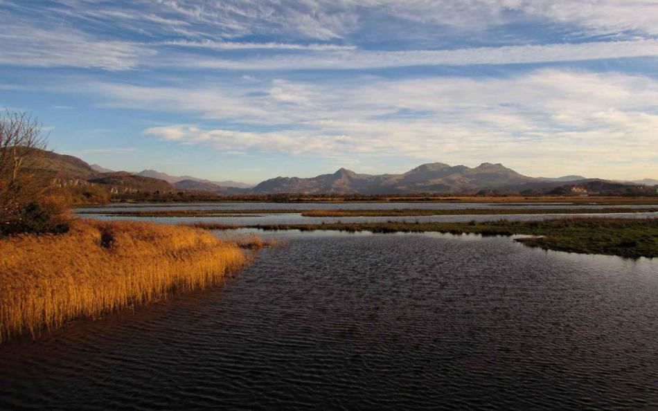 Marsh and estuary with mountain ranges in the far distance