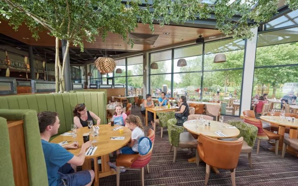 people sat around tables in an internal dining area with trees all around