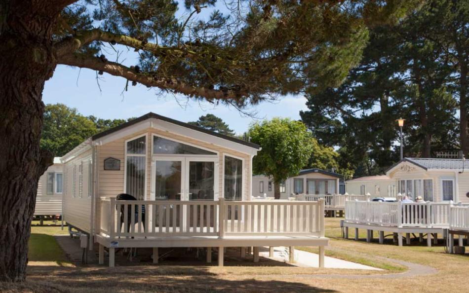 A view of holiday homes on a Holiday Park in Dorset on a bright sunny day surrounded by trees