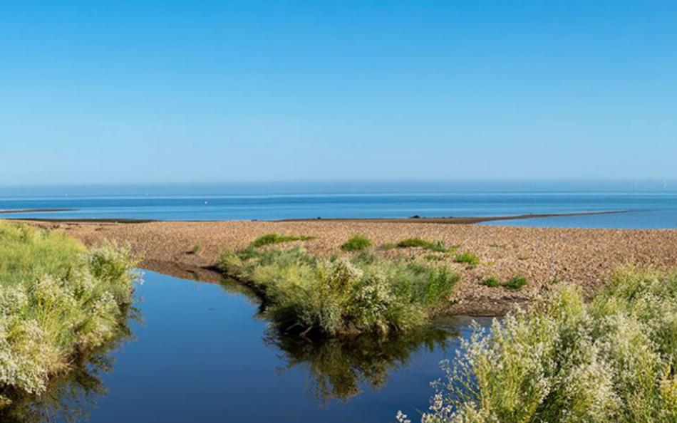 A View of the Beach on a Bright Sunny Day in Kent