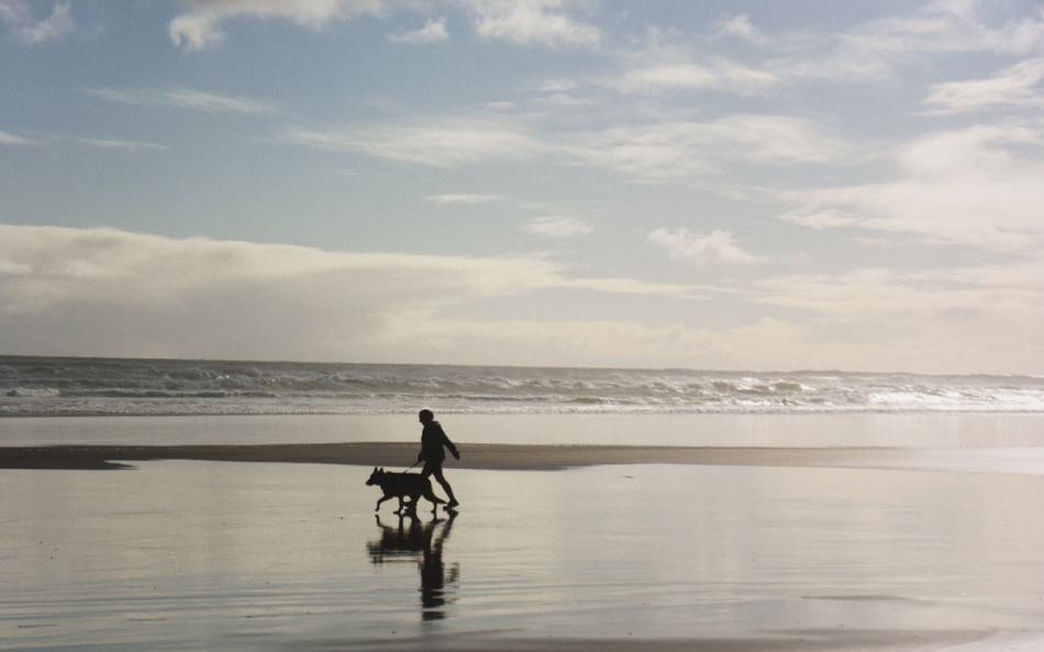 A person walking their dog along a beach on a windy but sunny day